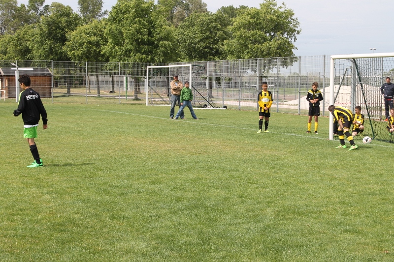 IMG 0428 (800x533)
